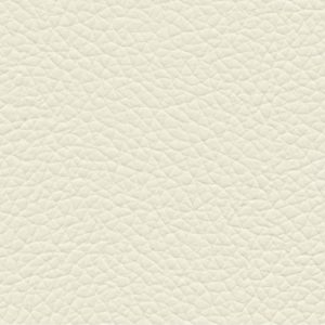 Goatskin gatto 1 cream