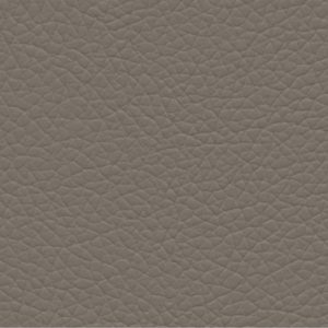 Shrimp gatto 12 grey stone