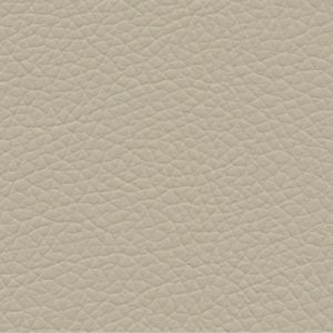 Kozenka gatto 2 white coffee