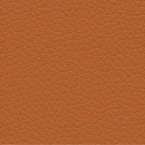 Goatskin gatto 23 orange